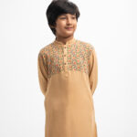 Brown Viscose Panjabi